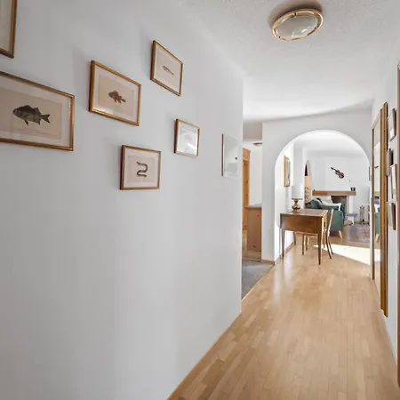 Corvatsch 1/5 公寓 *